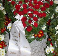Blumenherz Internet 1